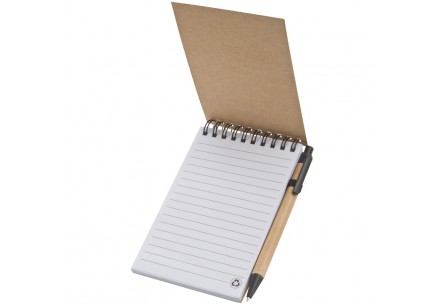 Notes z długopisem