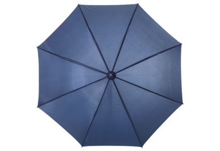 Parasol Winner 30