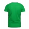 Męski T-shirt Active Green